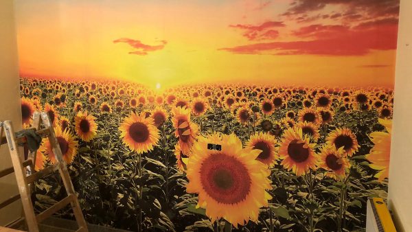 Tapezieren Tapezierarbeiten Maler Schortens Jever Friesland 03