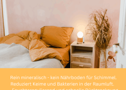 Flyer Kalkputz ohne Chemie